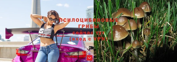 марихуана Абаза