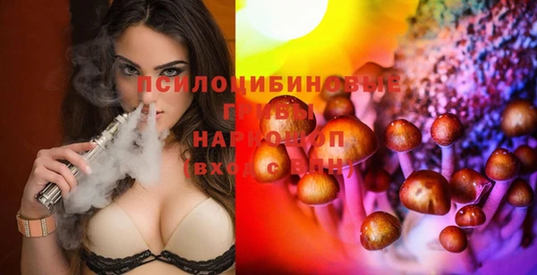 марихуана Абаза