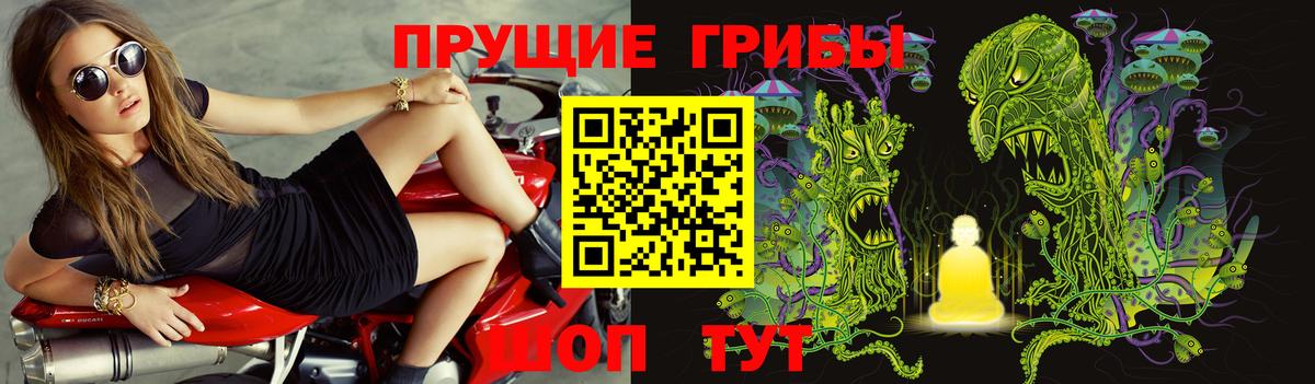 Галлюциногенные грибы Magic Shrooms  Псилоцибиновые грибы MAGIC MUSHROOMS  Вход с VPN  закладки  Каменка 